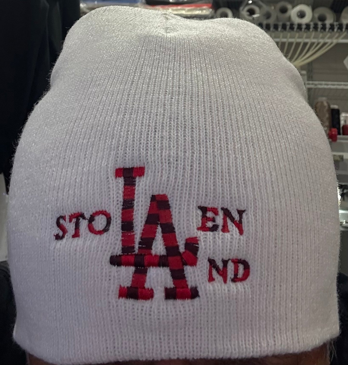 Serape White Stolen LAnd Beanie